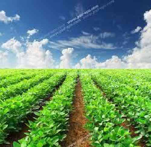 امید مالکانپور و احسان جوانمردی  بیو تیم یارت 